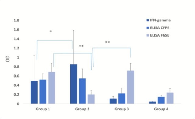 Data are presented as mean ± standard deviation (DS). Kruskal Wallis test and post hoc Dunn´s multiple comparison test were used for the comparison of results obtained in the different diagnostic tests used for both diseases with *Significant differences (p˂ 0.001); **(p<0.05). Mean antibody levels towards F. hepatica secretion/excretion antigens (FhSE) and to the protein extract from a M. bovis culture filtrate (PECF) as assessed by indirect ELISA (OD492 nm) and mean IFN-γ production as quantified by sandwich ELISA in supernatants collected after antigen stimulation of whole blood cultures with bovine PPSD (OD450 nm) in the different study groups. Group 1: tuberculous cows coinfected by F. hepatica; Group 2: tuberculous cows; Group 3: parasitized cows; and Group 4: non-tuberculous, non-parasitized cows.