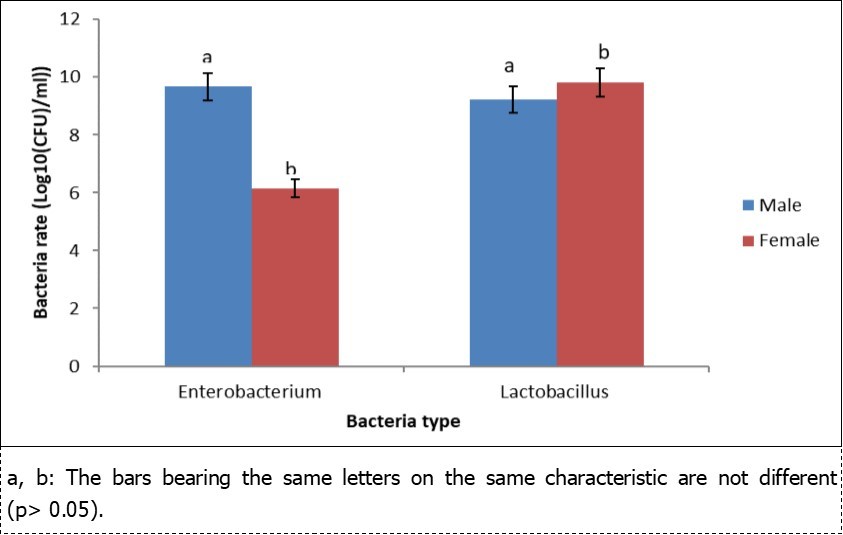 Effect of P. maximum on the variation of the bacteria rate of the caecal flora.
