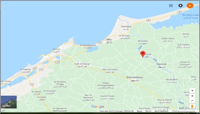 The map of Abu Hummus, ElBehara (Google map).