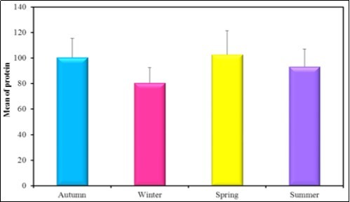 The mean concentration levels of total Protein (g/dl) in different seasons during (2016-2017).