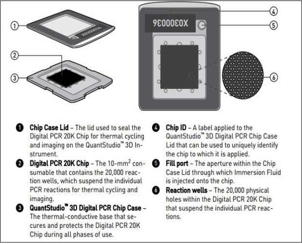 Diagram illustrating Quant Studio TM 3D Digital PCR System Chip; ChipCase Lid (1);Digital PCR 20K 10 mm2 nanofluidic v2 chip (2), which contains 20,000 reaction wells; QuantStudioTM 3D Digital PCR Chip Case (3); Chip ID (4); Fill port (5); and Reaction wells, the 20,000 physical holes that suspend individual PCR reactions.