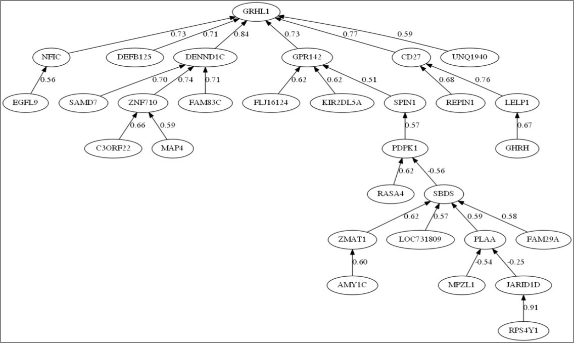 Correlation network for Parkinson disease (PD) vs healthy controls (HC) discrimination.