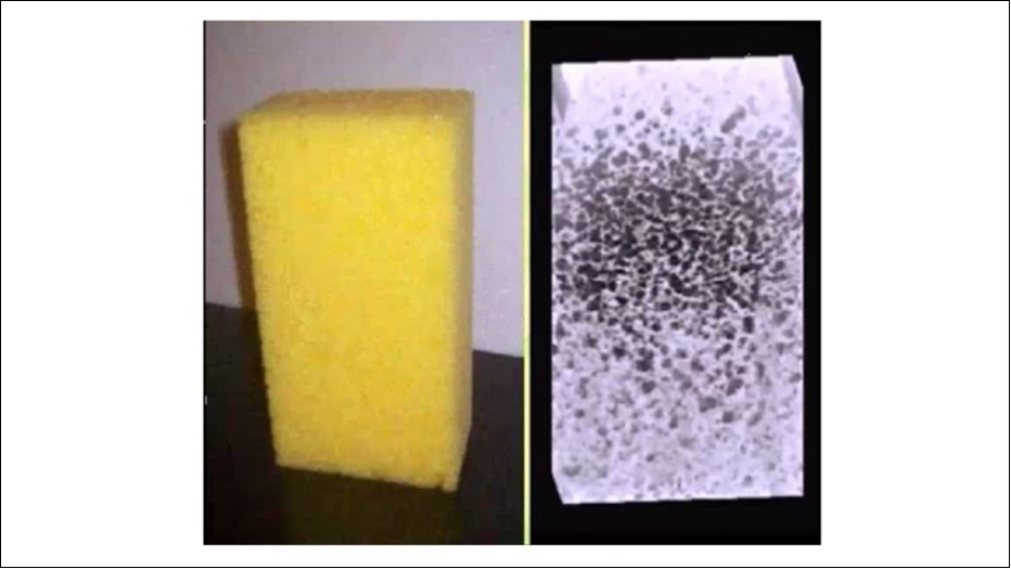 Random Void Phantom: Water-filled artificial foam immersed in a water tank. The 3D image shows the ultrasound image of the sponge acquired with a matrix probe.