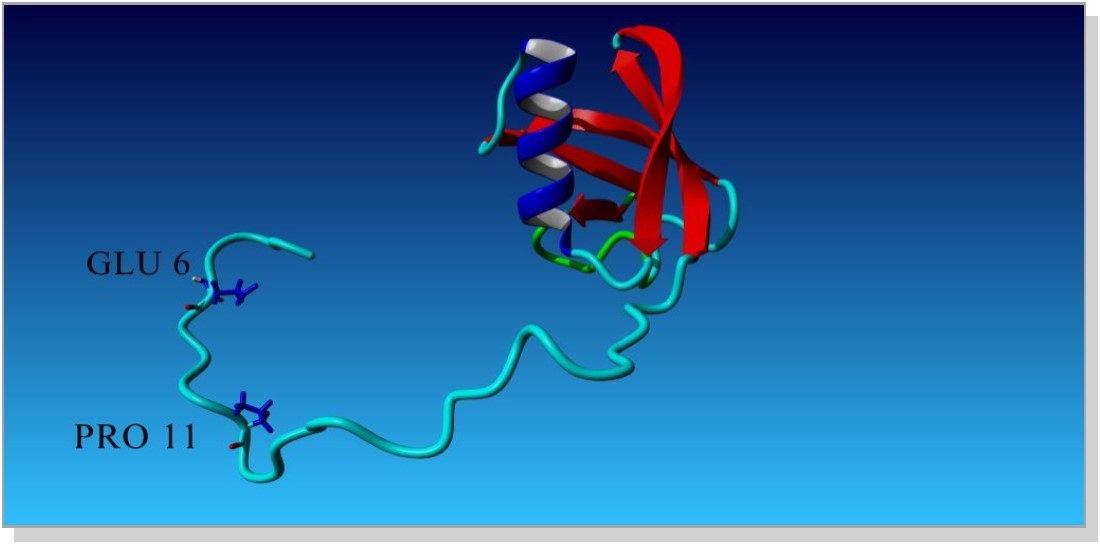 (PDB structure of UBL domain)