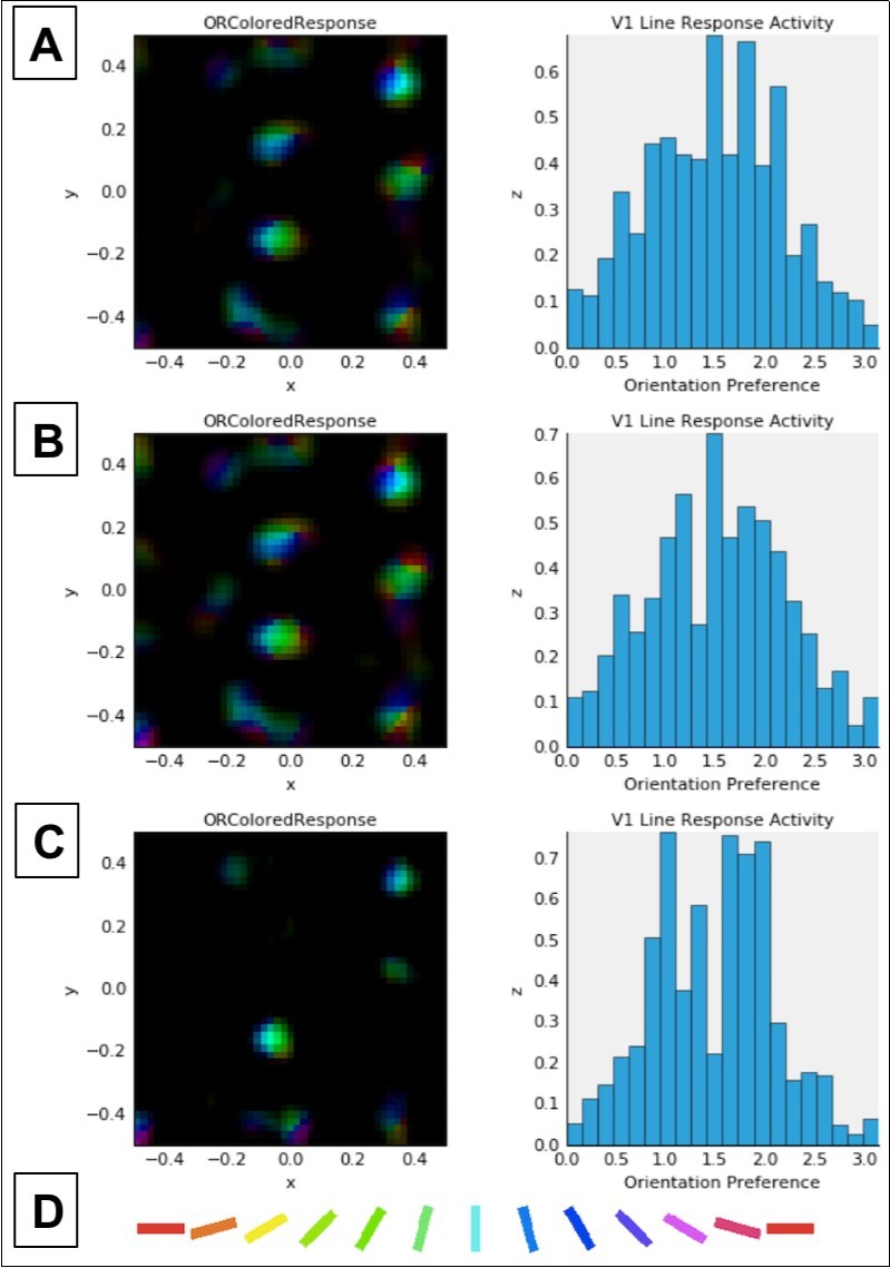 Combined activation and orientation preference maps (left column) and histograms showing activation of V1 neurons as a function of cell orientation preference (on x-axis, in radians) (right column). Data in both columns reflect activation in response to a single presentation of the LSF sine grating stimulus at 80% contrast (see Figure 2) after normal or abnormal model V1 development (see below). Each color in the maps in the left column corresponds to selectivity for the orientation denoted by the corresponding color in the key (D) at the bottom of this figure. Brightness corresponds to the firing rate of the neuron at a given location in the V1 sheet, which is retinotopic with respect to the LSF stimulus shown in Figure 2. In the histograms in the right column, the expected distribution peak for vertically oriented stimuli (see Figure 2) is π/2 or ~1.57 radians. A: Data for unmodified model after 20,000 iterations (same as in top row, Figure 3). B: Data after 10,000 normal development trials followed by 10,000 trials adapting to 15% reduced retinal and LGN output