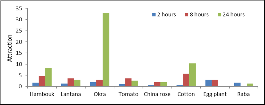 Attraction of adult females of cotton mealybug to selected plant species, compared with Chinese rose (control), at different interval time after release- Khartoum- Sudan (2018