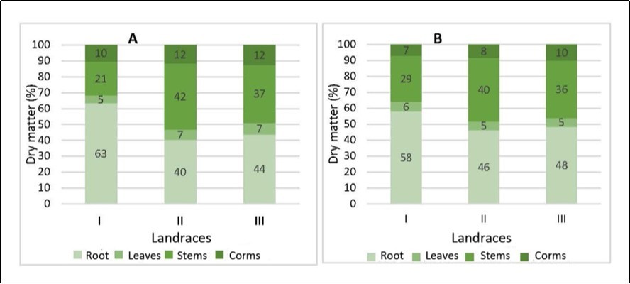 Allocation of assimilates to the plant organs in three Mauka landraces raised from corms (A) and seed (B). Sources: A. 45, B. 23.