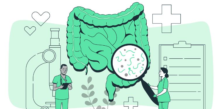 Article: A Challenging Case of Groove Pancreatitis