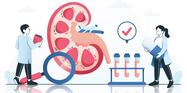 Article: An Ethical and Practical Dilemma: Legalizing the Sale of Human Organs