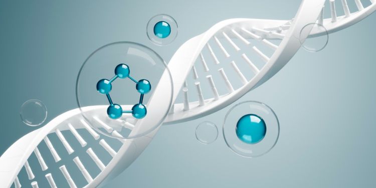 Journal of Enzymes - Radical Scavenging