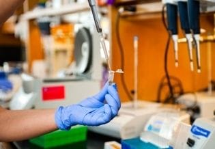 International Journal of Clinical Microbiology